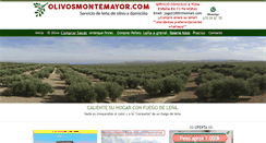 Desktop Screenshot of olivosmontemayor.com